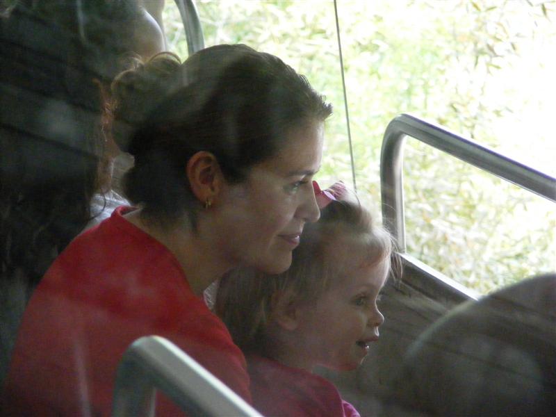 Jess2ndBDay_DALZoo (133) (Medium).JPG - Ms. Lisa let me ride with her... (Mummy was a little jealous :o( ... sorry Mummy but it's Ms. Lisa!?...